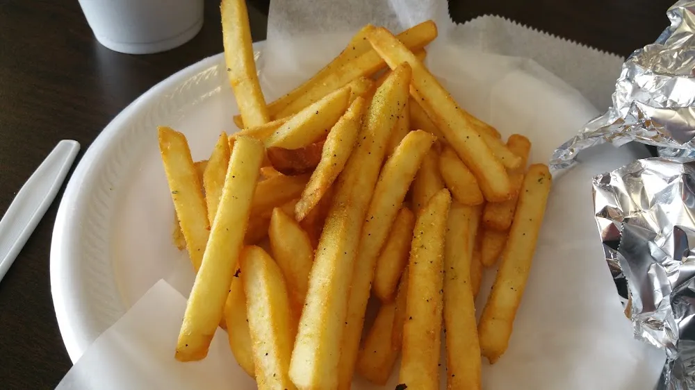 Fries with Gyro Special