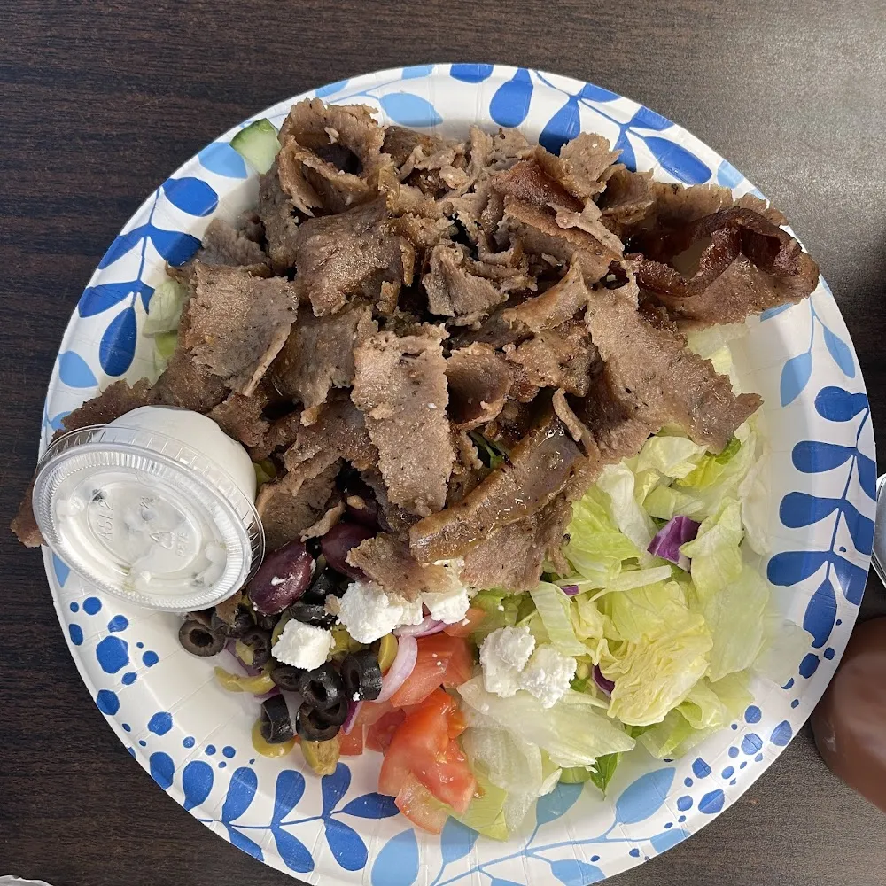 Gyro Plate